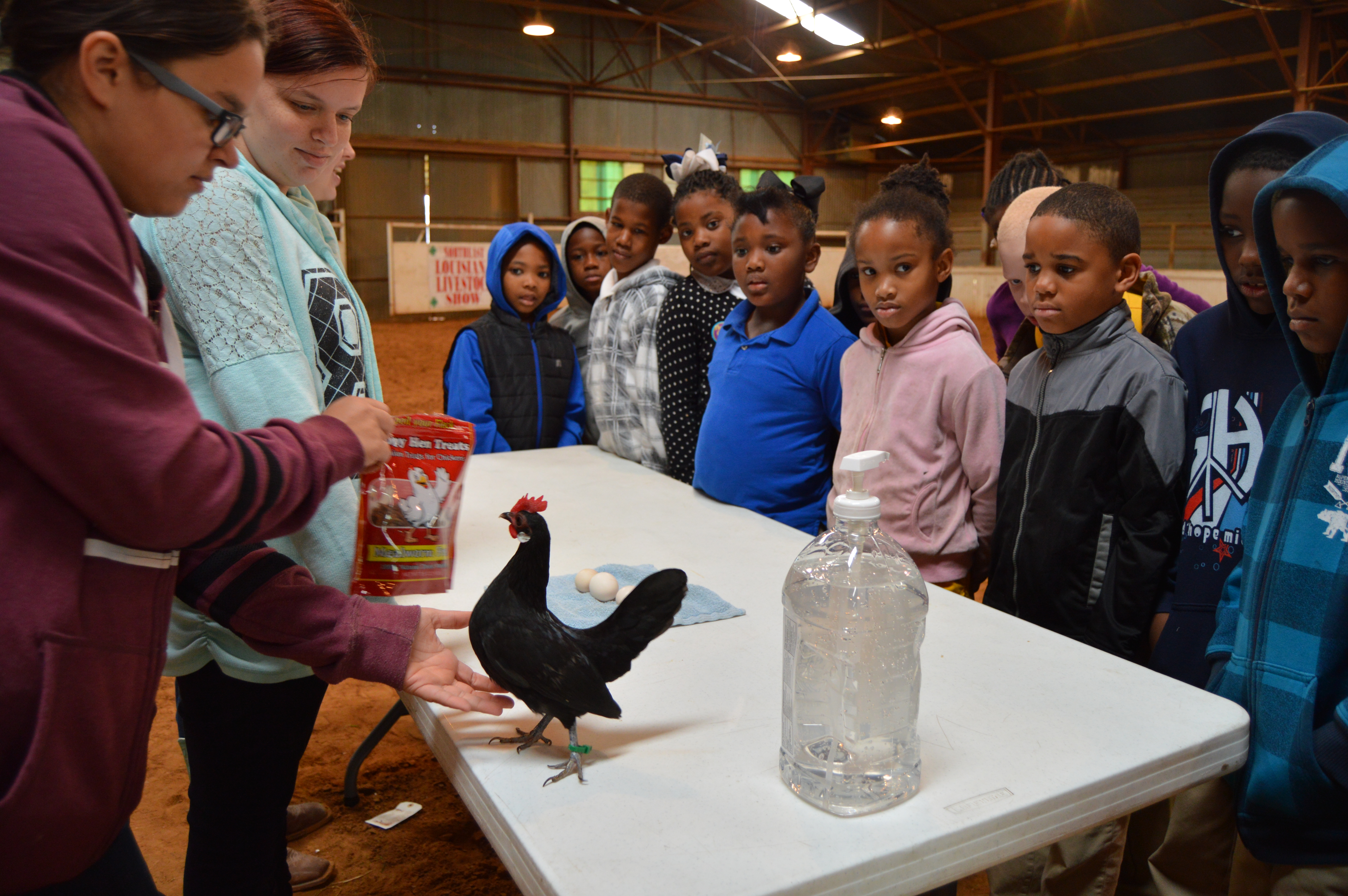 Ag Adventures shows youngsters where their food comes from